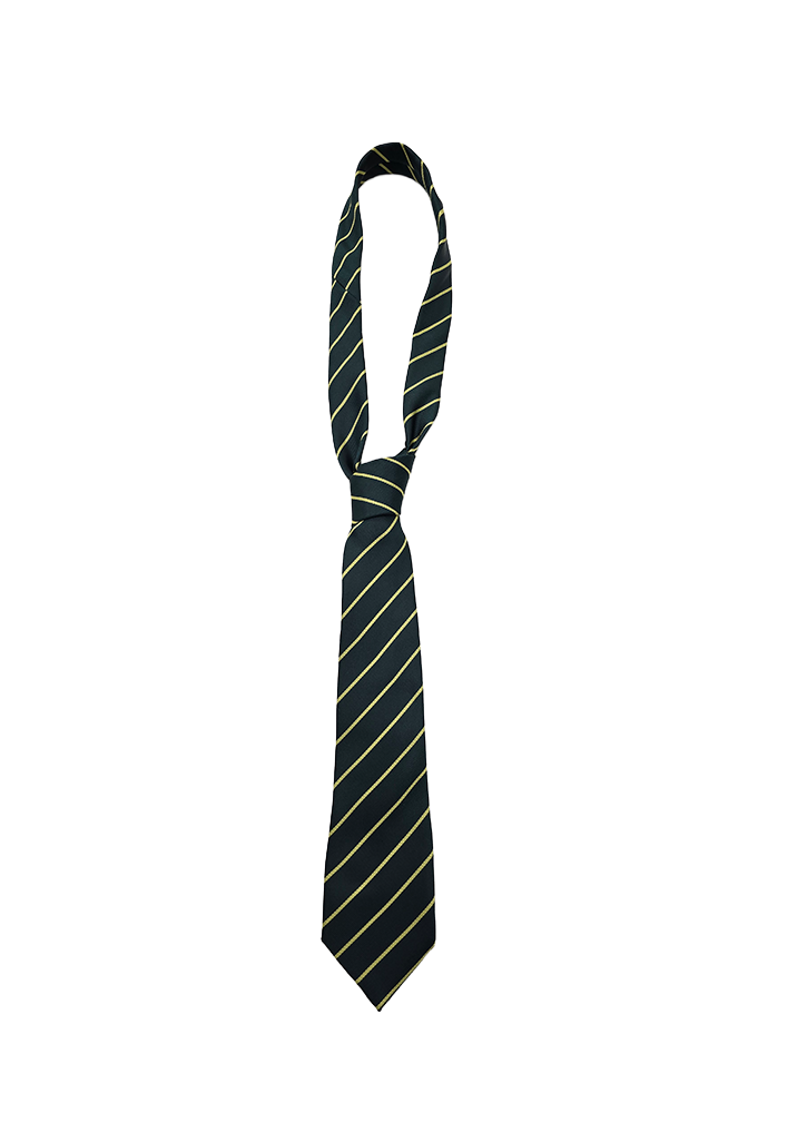 East Otago High School Senior Tie Dark Green/Gold 1SZ